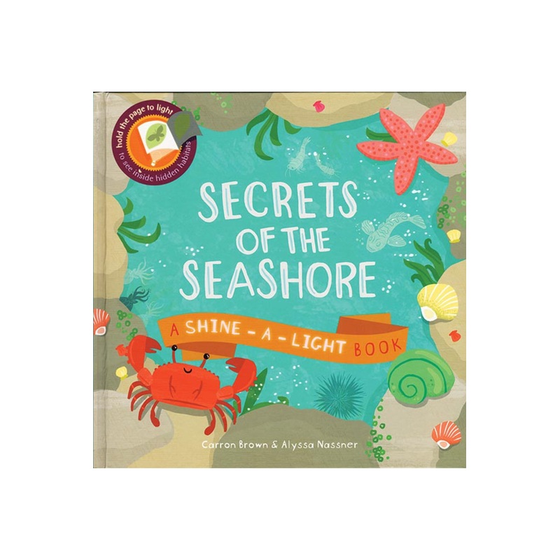 Secrets Of The Sea Shore: A Shine A Light Book