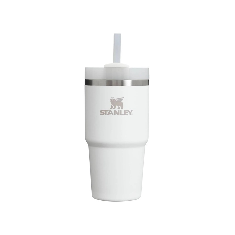 20 oz Stainless Steel H2.0 FlowState Quencher Tumbler Frost