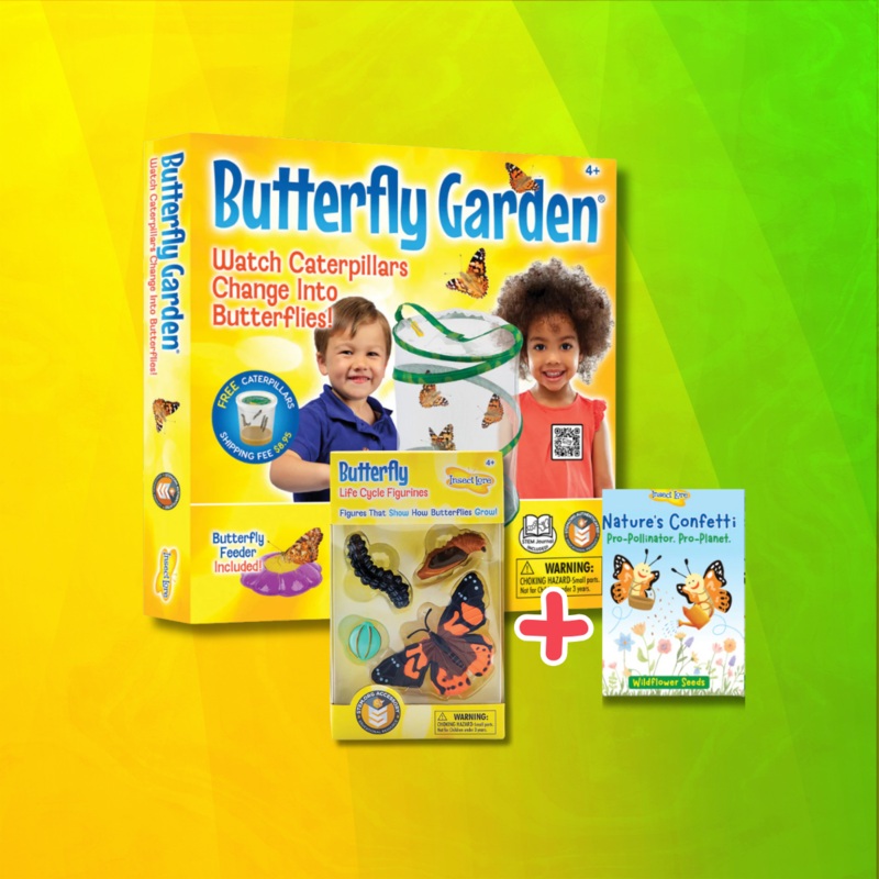 Butterfly Garden With Voucher + Free Gifts