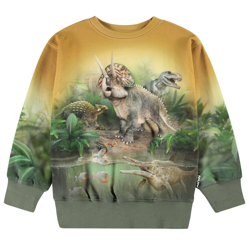 Mattis Sweatshirt – Forest Dinos