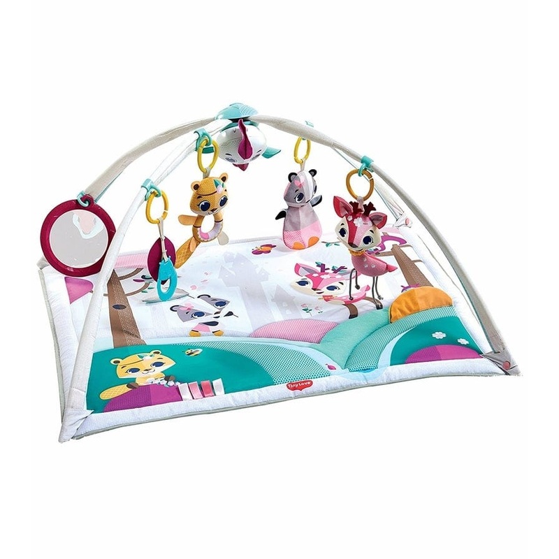 Tiny Love Tiny Princess Tales Gymini Deluxe