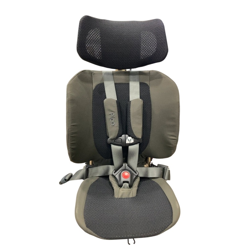 WAYB Pico Portable Car Seat, 2022, Earth