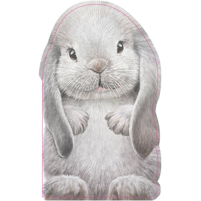 Furry Bunny