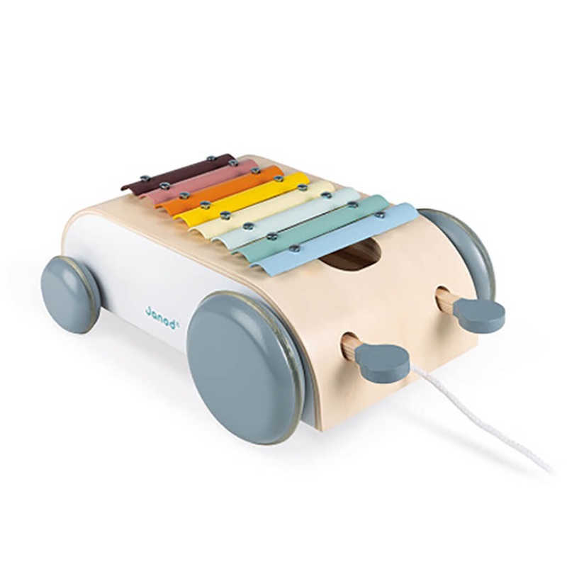Sweet Cocoon Xylo Roller 2 in 1 Toy