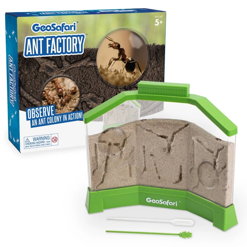 ANT FACTORY