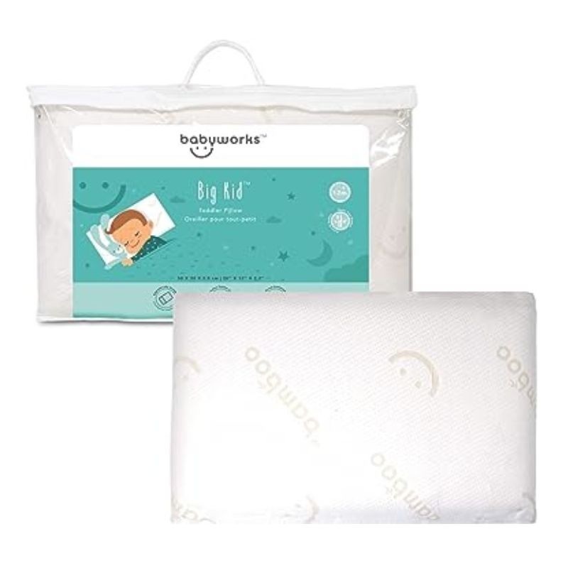 Toddler Pillow with Bamboo Cover