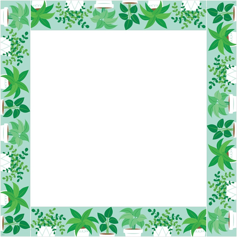 Potted Plants (Positively Plants) Border