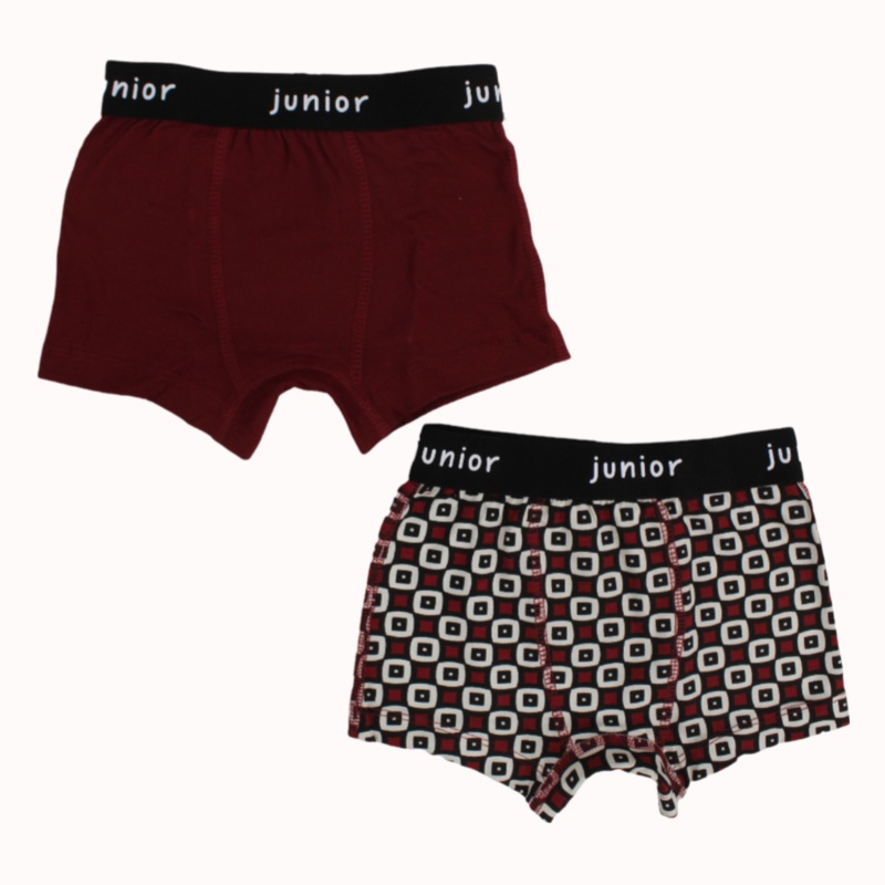 Multicolored Boys Cotton Boxer Shorts  Pack of 2