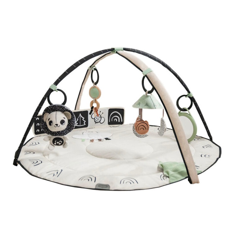 Black & White Dcor Classic Developmental Gymini