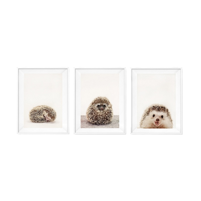 Prickle Your Fancy Set Prints