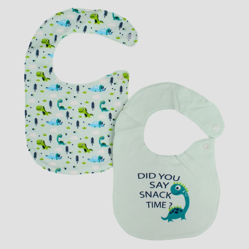 Teal & Aqua Dinosaur Bibs (2-Pack)