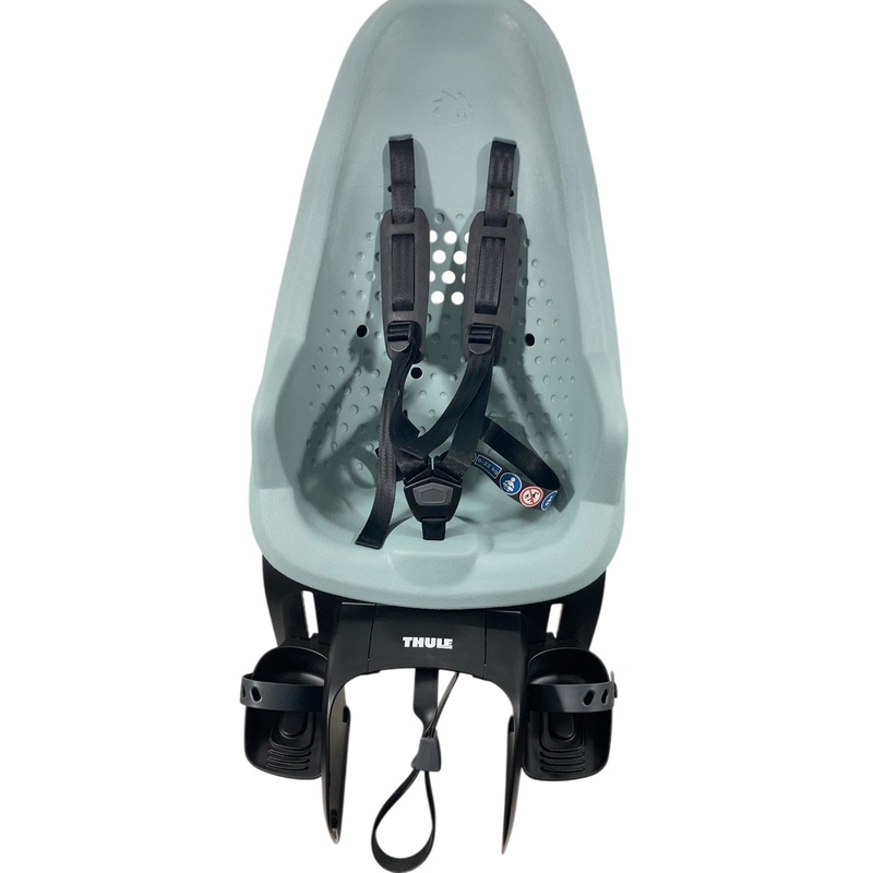 Thule Yepp 2 Maxi, Alaska, Rack Mount