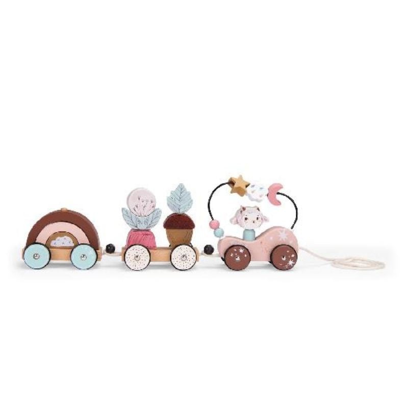Apres la Pluie – Pull Along Activity Train