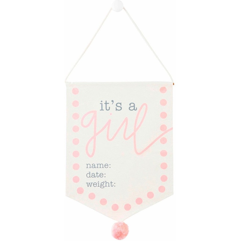 Mud Pie Girl New Baby Canvas Sign