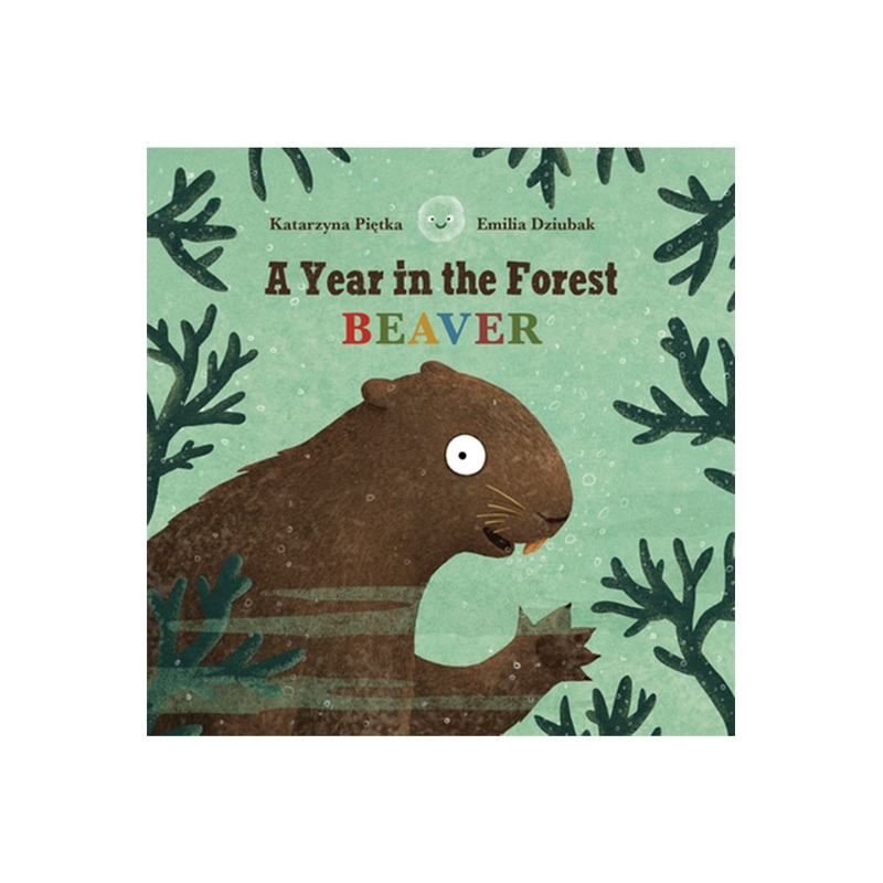 Usborne A Year In The Forest Beaver