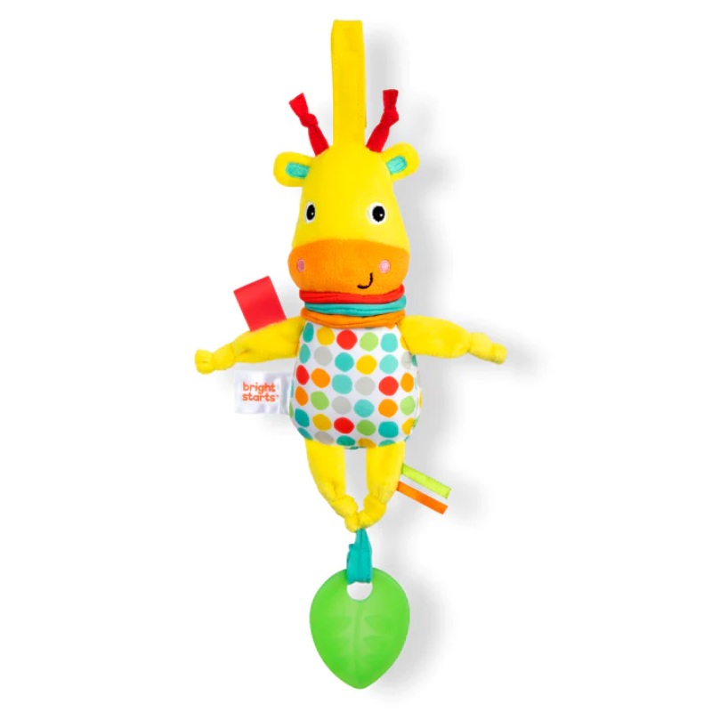 Pull, Play & Boogie Musical Activity Toy