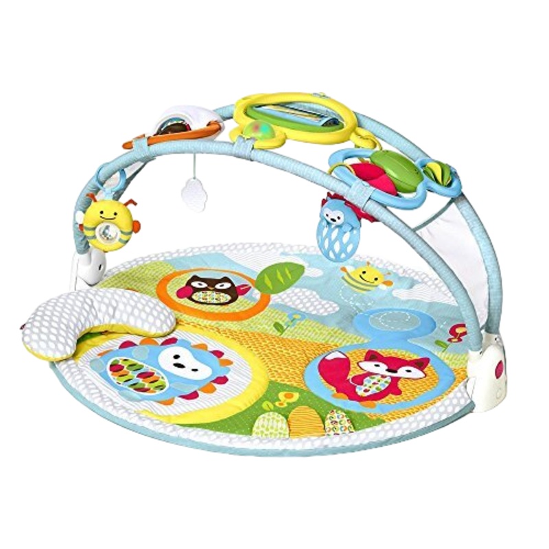 Skip Hop Explore & More Amazing Arch Activity Gym