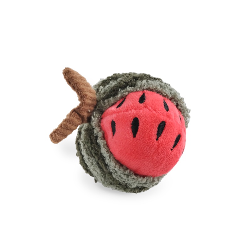 Watermelon rattle