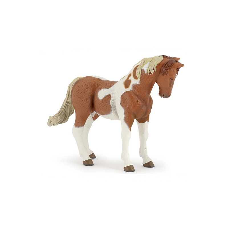 Papo Pinto Mare