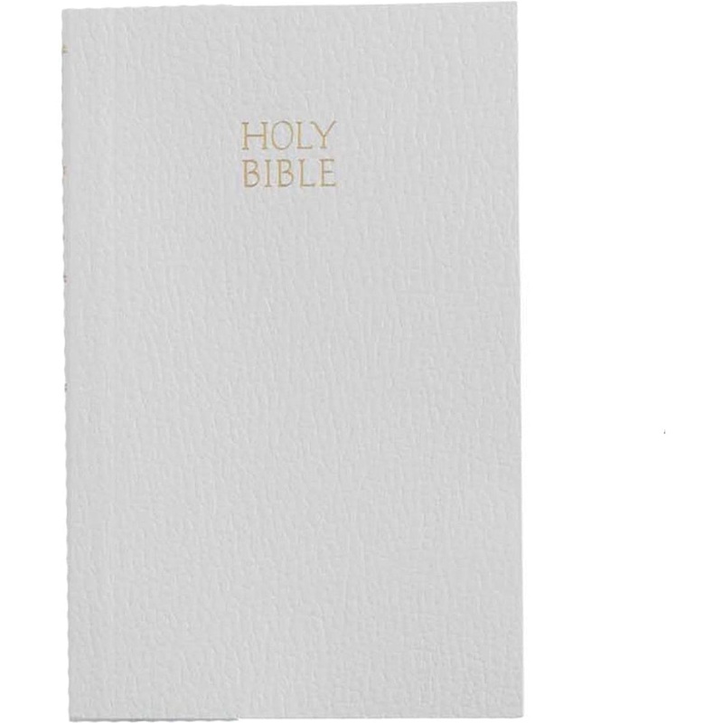 Mud Pie Kids Bible