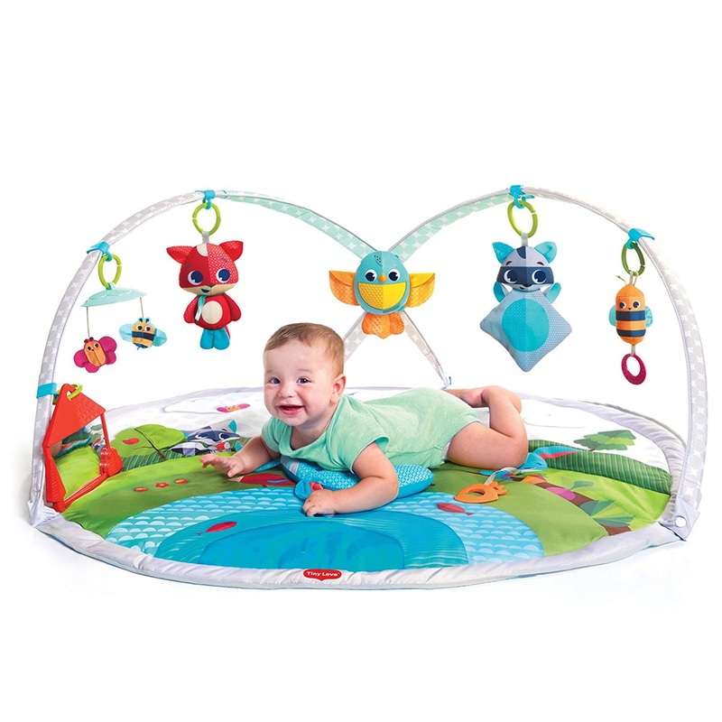 Tiny Love Dynamic Gymini – Meadow Days