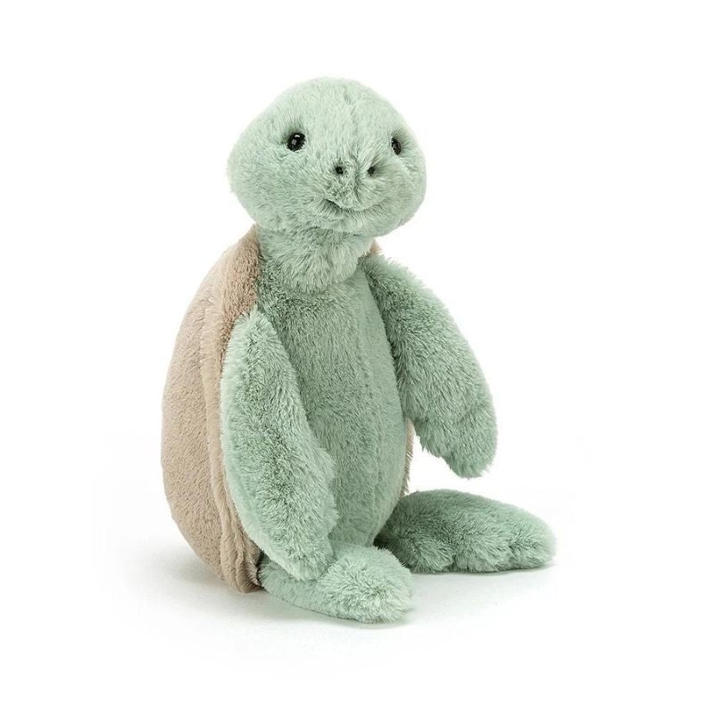 Bashful Turtles