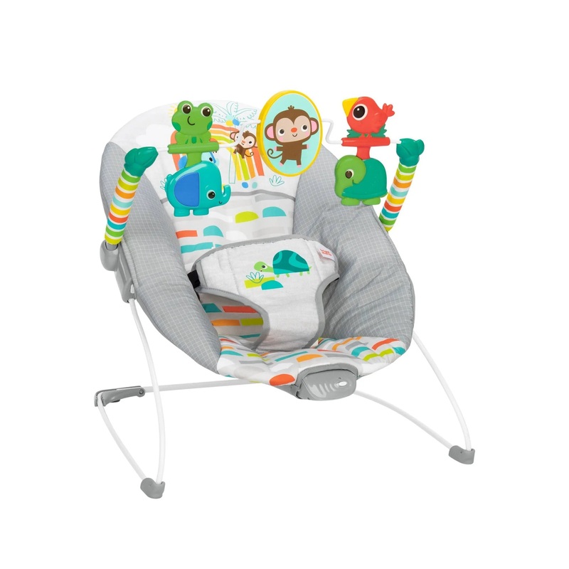 Playful Paradise Baby Bouncer Seat (See Description)