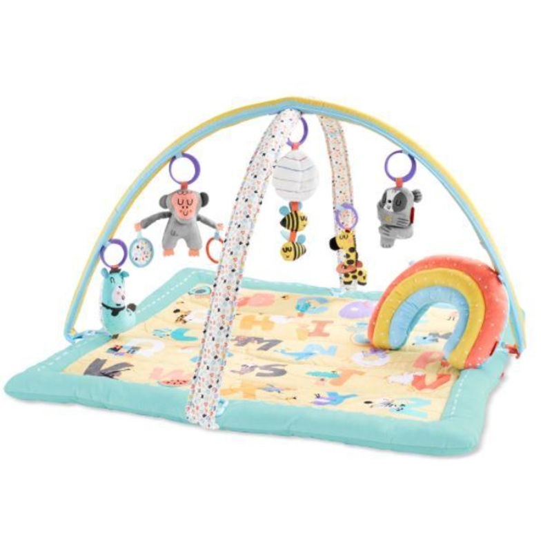 Skip Hop Activity Gym