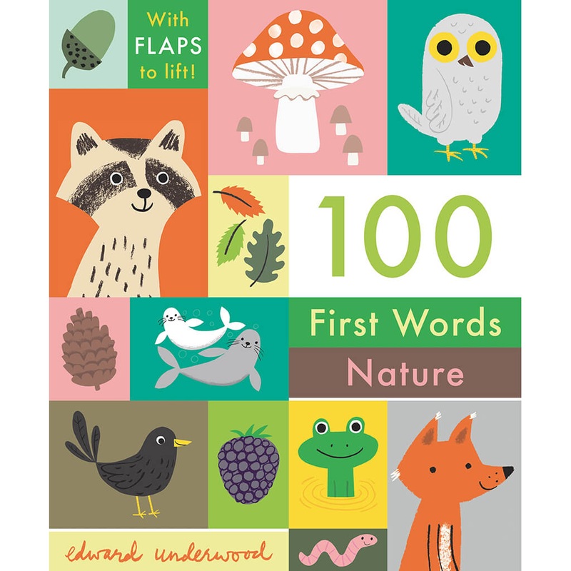 100 First Words: Nature Book
