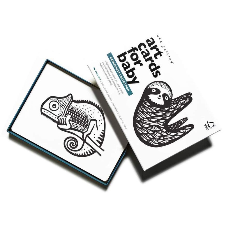 Art Cards for Baby – Rainforest Collection