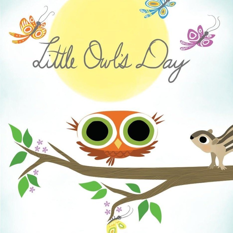 Little Owl’s Day