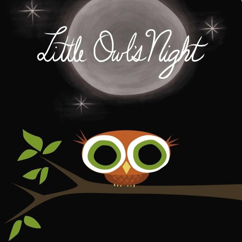 Little Owl’s Night
