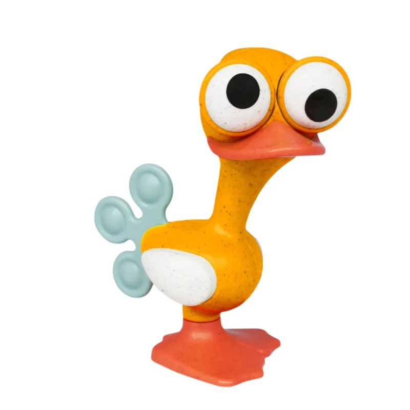 Tolo Crazy Eyed Bird