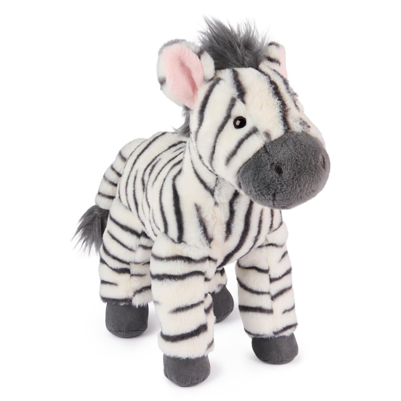 Gemma the Zebra