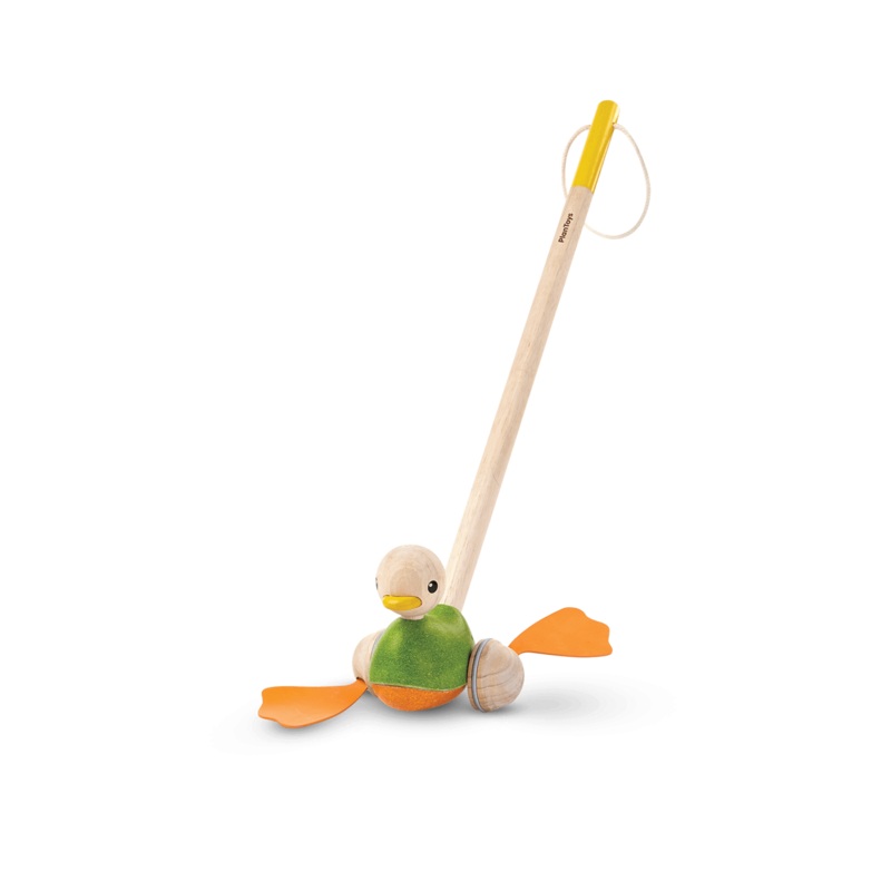 Push Along Duck