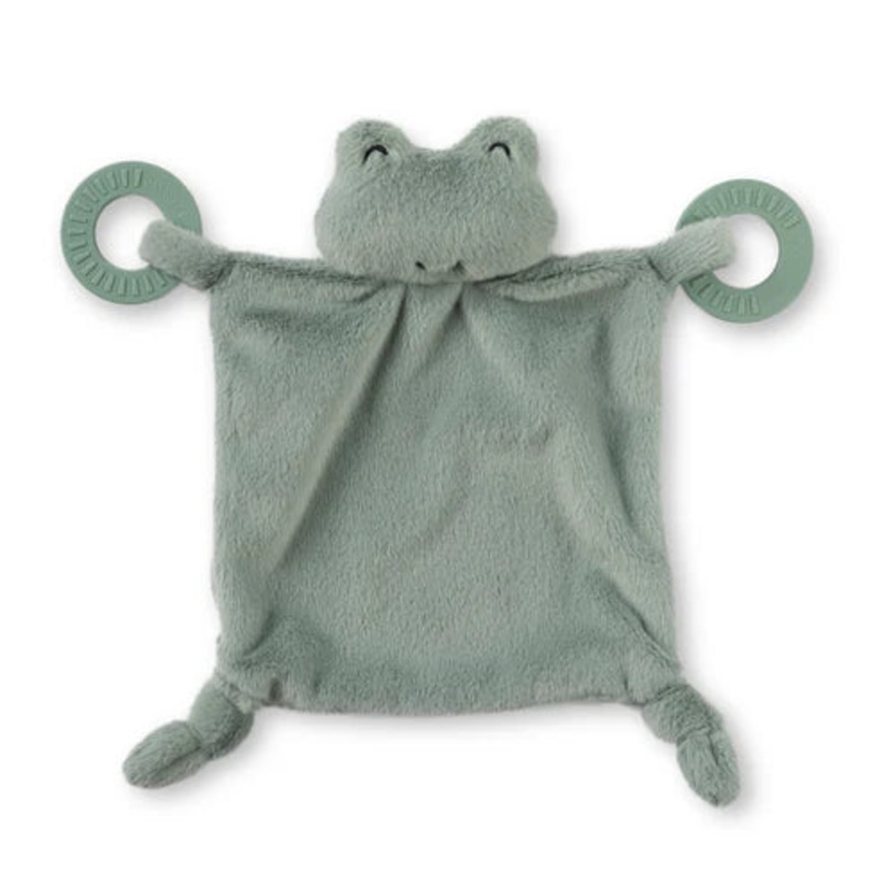 Teether Buddy Frog