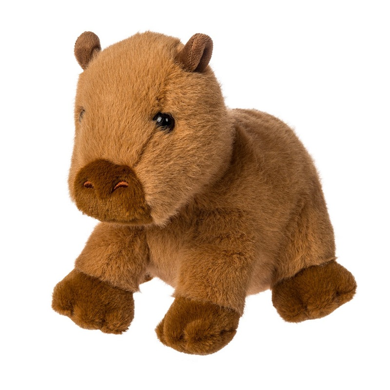Capy Capybara
