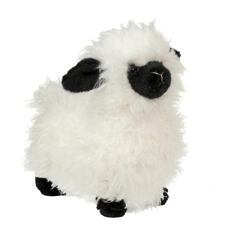 Shiloh Sheep